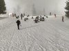 IMG-20250116-WA0000